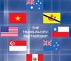 Duoc Mat Khi Tham Gia Tpp