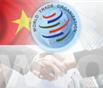 Hau Wto Viet Nam Can Mot Cu Hich Cai Cach Moi