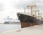 Csav Launches New Direct Service