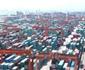 Port Everglades Container Volume Grows 9 6 Percent