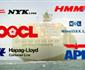 G6 Alliance Details Trans Pacific Routes