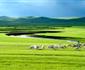 Schenker To Inner Mongolia