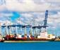 Nz Port Moves Record Volumes