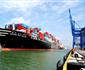 New World Slows Asia Middle East Wax Loop