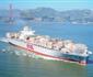 Grand Alliance Starts Winter Capacity Cuts