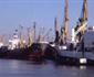 Msc Canh Bao Un Tac Tai Buenos Aires