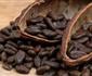 Gia Cacao Da Sut Xuong Muc Thap Trong 32 Thang
