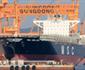 Msc Nhan Cac Tau 9 403 Teu Msc Azov Va 8 772 Teu Msc Adelaide