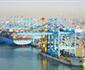 Luong Container Tai Rotterdam Tang 17